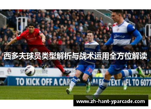 西多夫球员类型解析与战术运用全方位解读