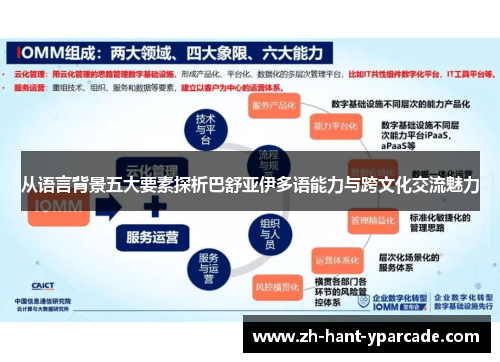 从语言背景五大要素探析巴舒亚伊多语能力与跨文化交流魅力