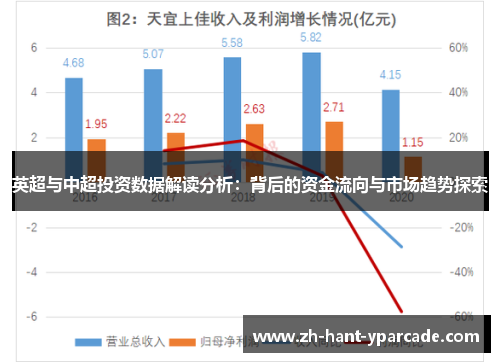 英超与中超投资数据解读分析:背后的资金流向与市场趋势探索 英超与中超投资数据解读分析:背后的资金流向与市场趋势探索